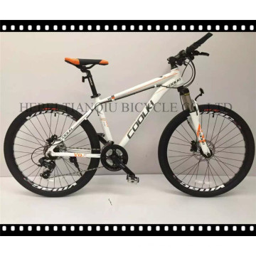 Cheap Wholesale Popular Mountain Bike